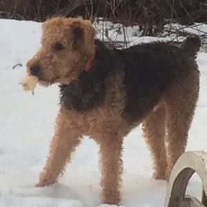 Meet your Posher, Karen